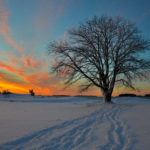 Vinnande bild december