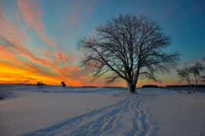 Vinnande bild december