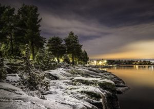 Vinnande bild januari